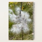 Milkweed | Papillon | Journal (Verso)