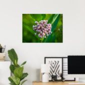 Milkweed — poster (Thuiskantoor)