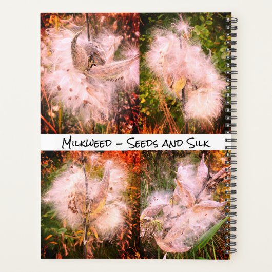 Milkweed | Sangria (Dos)
