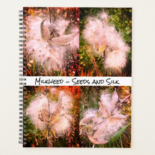 Milkweed | Sangria (Devant)