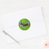 Milkweed Tussock Moth Caterstyle Items Ronde Sticker (Envelop)