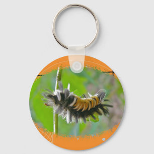 Milkweed Tussock Moth Caterstyle Oranje Items Sleutelhanger