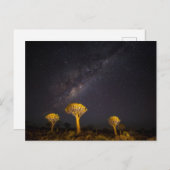 Milky Way Quiver Tree | Keetmanshoop Namibia Briefkaart (Voorkant / Achterkant)