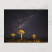 Milky Way Quiver Tree | Keetmanshoop Namibia Briefkaart (Voorkant)