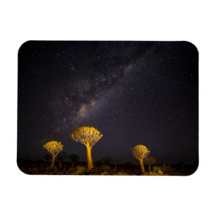 Milky Way Quiver Tree Keetmanshoop Namibia Magneet