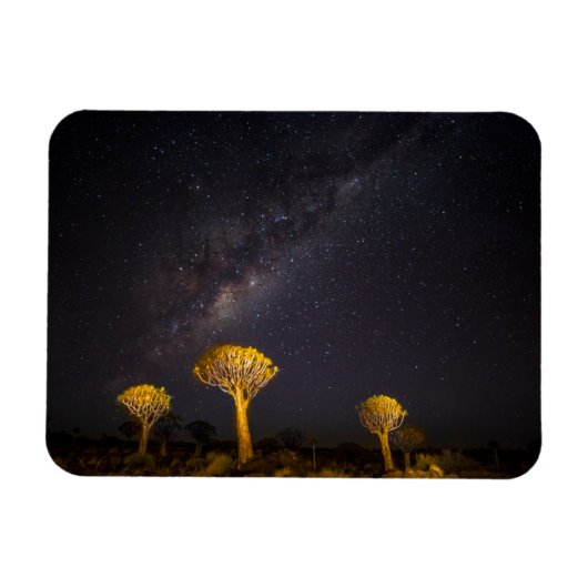 Milky Way Quiver Tree | Keetmanshoop Namibia Magneet (Horizontaal)