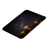 Milky Way Quiver Tree | Keetmanshoop Namibia Magneet (Linkerzijde)