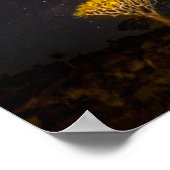 Milky Way Quiver Tree | Keetmanshoop Namibia Poster (Hoek)