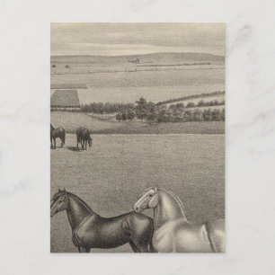 Mill Brae Ranch, Kansas Briefkaart