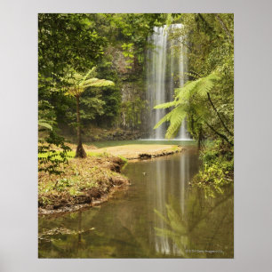 Millaa Millaa Herfsten, Atherton Tableland Poster