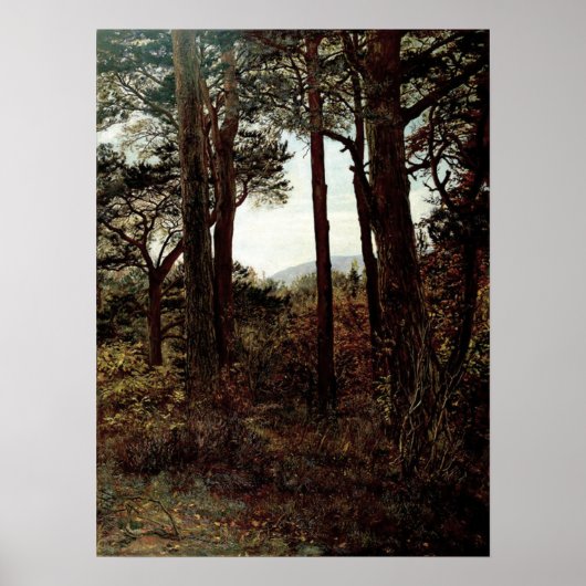 Millais - Scotch Firs 1873 Poster (Voorkant)