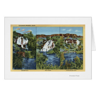Mille ressorts, identification - genévrier, aile,