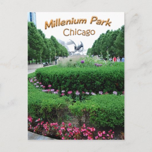 Millenium Park Bandshell Briefkaart (Voorkant)