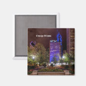 Millennium Park Spring Sason Night Magnet Magneet (Voorkant / Achterkant)