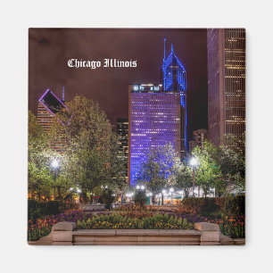 Millennium Park Spring Sason Night Magnet Magneet
