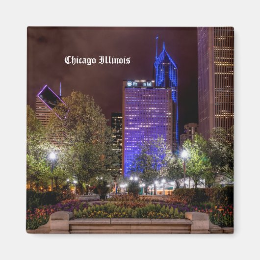 Millennium Park Spring Sason Night Magnet Magneet (Voorkant)