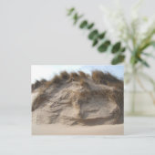 Miller Beach in Gary, Indiana Briefkaart (Staand voorkant)