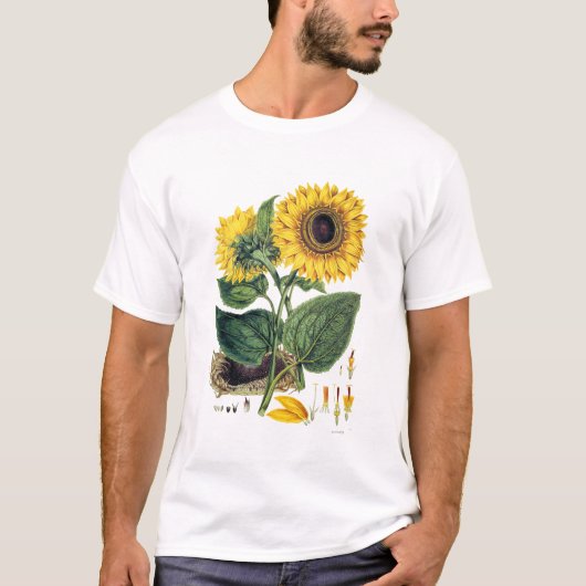 Miller: Zonnebloem T-shirt (Voorkant)