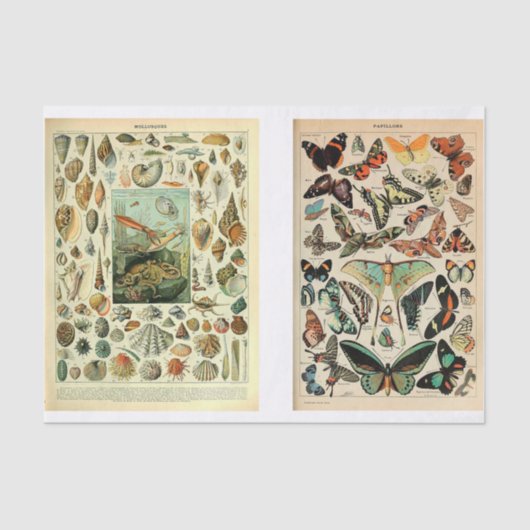 Millet Pages Tissuepapier (Voorkant)