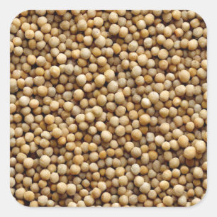 Millet Vierkante Sticker