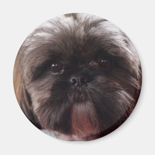 Millie magneet (Voorkant)