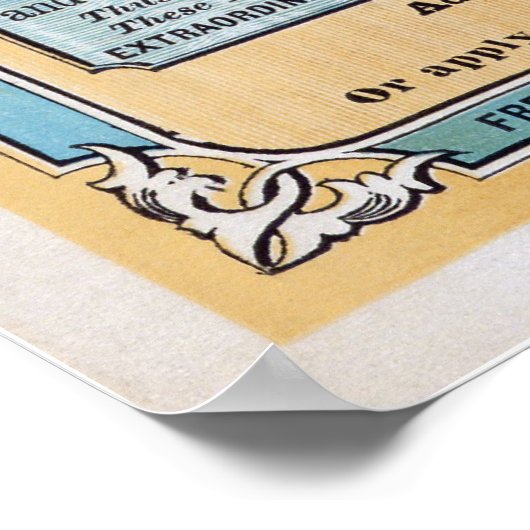 Millions d'acres à vendre - Affiche (Coin)