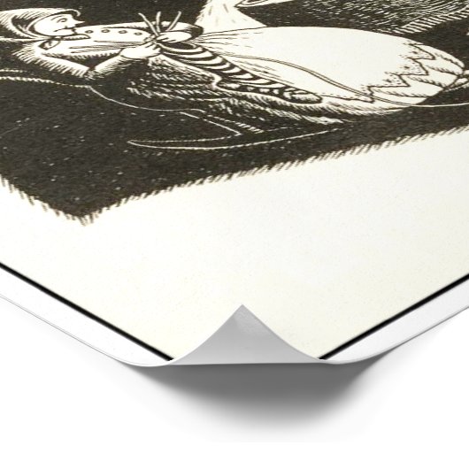 Millions De Chats - Impression Archivée (Coin)