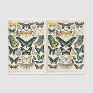 Millot Butterflies Tissuepapier