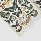 Millot Butterflies Tissuepapier (Detail)