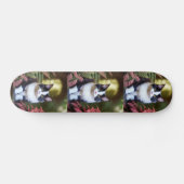 Milly de Ragdoll kat, skateboard (Horizontaal)