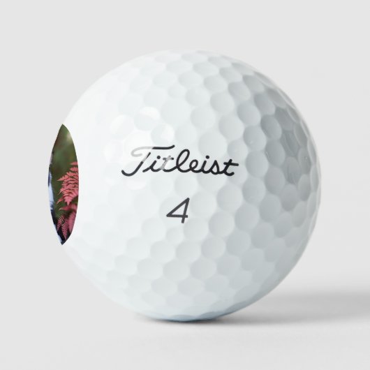 Milly de Ragdoll kat, Titleist golfballen (Logo)