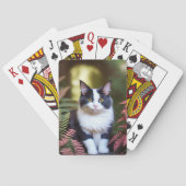 Milly Le Chat De Ragdoll, Pont De Cartes De Jeu (dos)