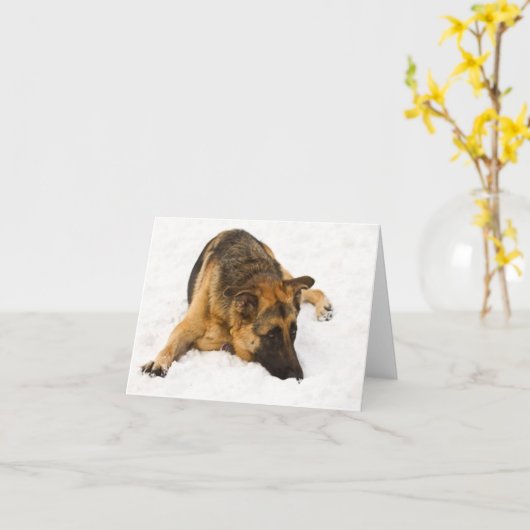 Milou GSD - Carte (Fleur jaune)