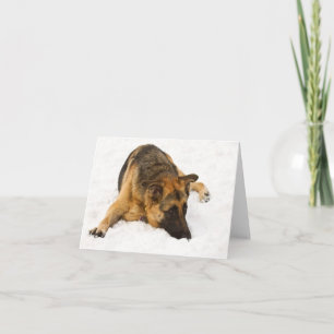 Milou GSD - Carte