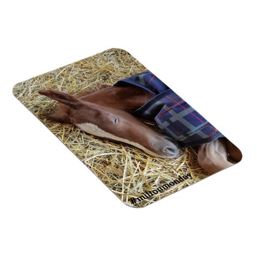 Milton Maandag Magnet Magneet (Rechterzijde)