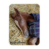 Milton Maandag Magnet Magneet (Verticaal)