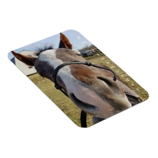 Milton Maandag magnet Magneet (Rechterzijde)