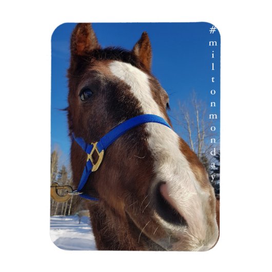 Milton Maandag Magnet Magneet (Verticaal)