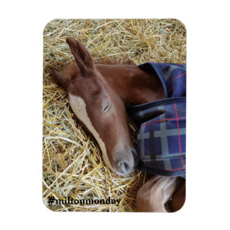 Milton Monday Magnet