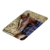 Milton Monday Magnet (Côté Gauche)