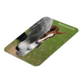 Milton Monday Magnet (Côté Gauche)