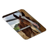 Milton Monday Magnet (Côté Droit)