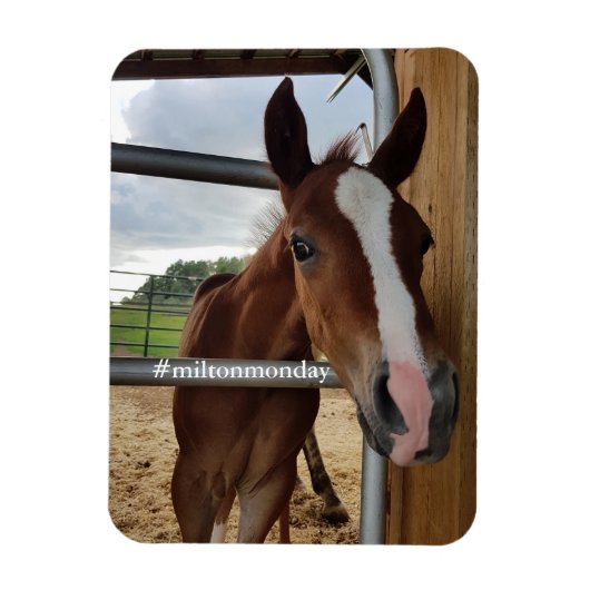 Milton Monday Magnet (Vertical)