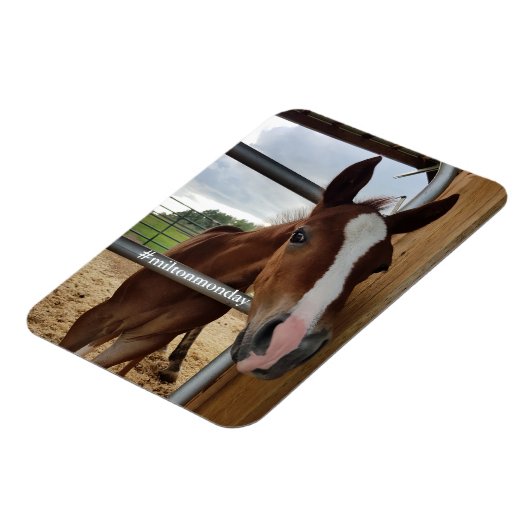 Milton Monday Magnet (Côté Gauche)