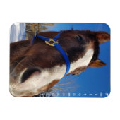 Milton Monday Magnet (Horizontal)