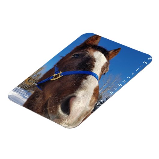 Milton Monday Magnet (Côté Gauche)