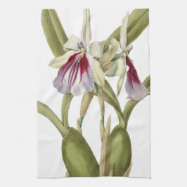 Miltonia Spectabilis orchidee botanische keuken Theedoek