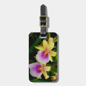 Miltonia Sunset Bagagelabel (Voorkant verticaal)