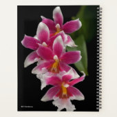Miltonioda Sakura Planner (Achterkant)