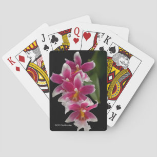 Miltonioda Sakura Pokerkaarten